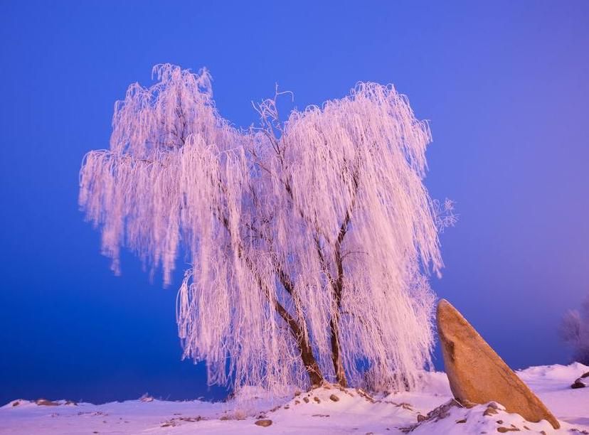 吉林之光，高科技产品照亮未来，科技与生活共舞