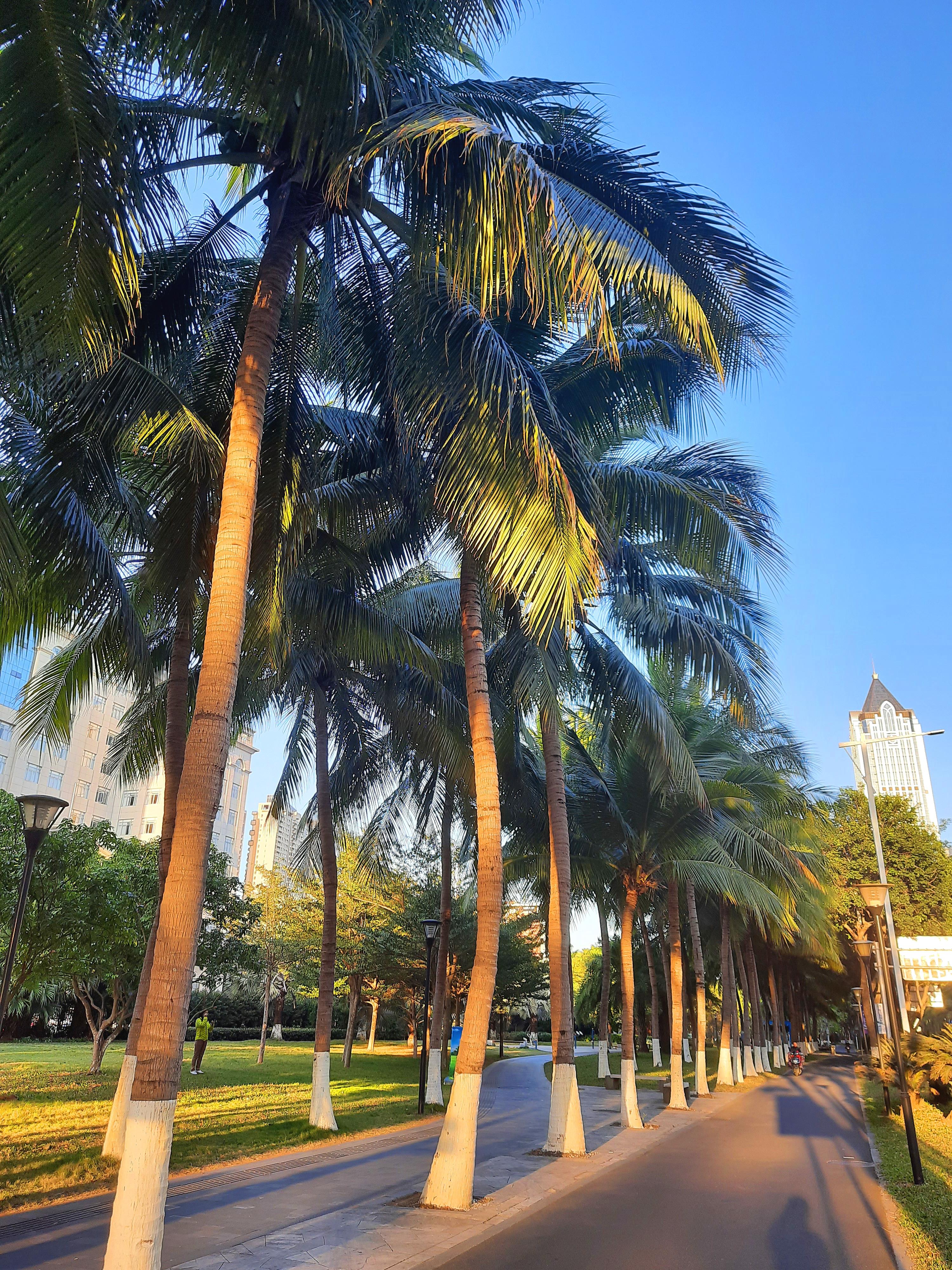 海南，嘉宾云集，观众热情洋溢