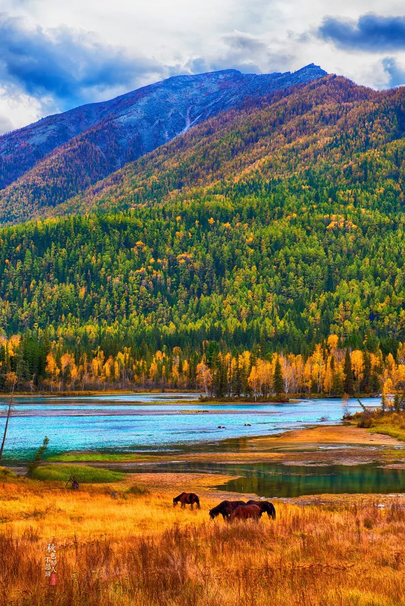 丝路明珠新疆，多元文化交融发展记